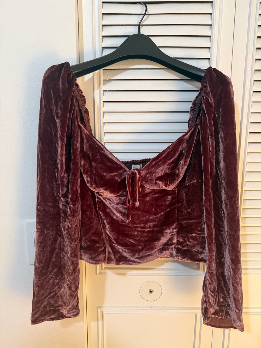 Aritzia Wilfred Velvet Long-Sleeve Crop Top in Deep Burgundy (NEVER WORN)